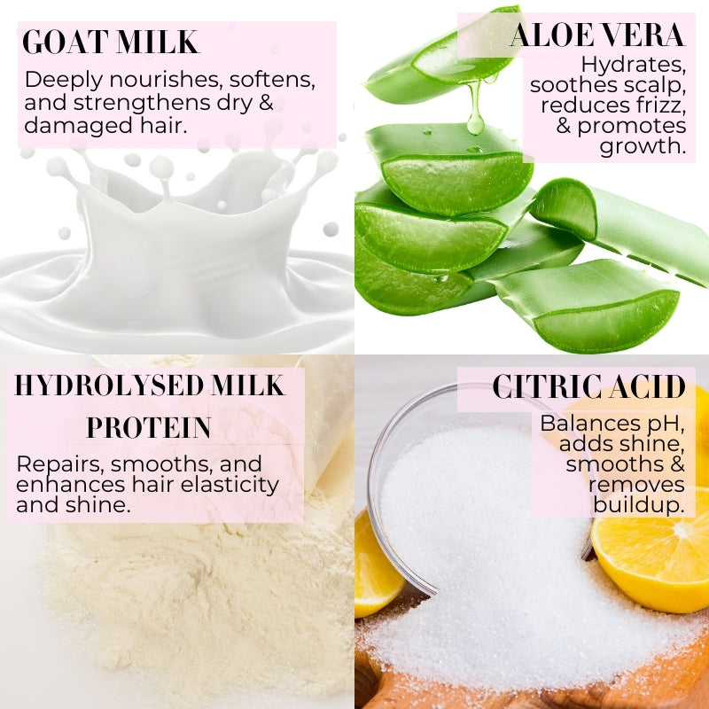 goat milk shampoo conditioner for dry hair