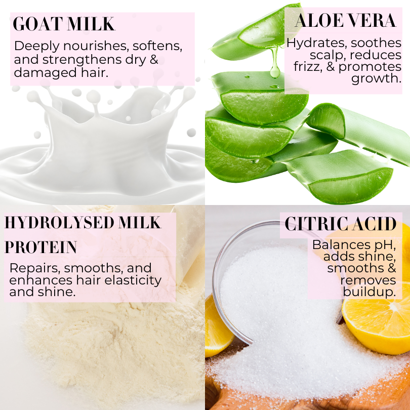 Baes Club Goat Milk Shampoo for dry scalp and hair fall