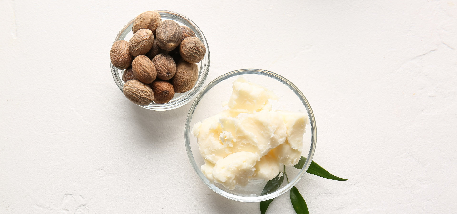 Shea Butter - Baes Club