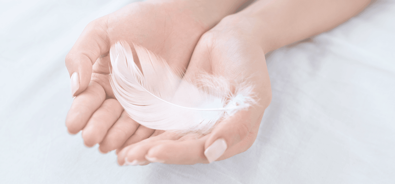 Baes Club new launches