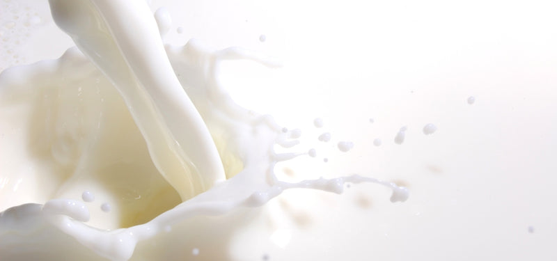 goat milk - Baes Club