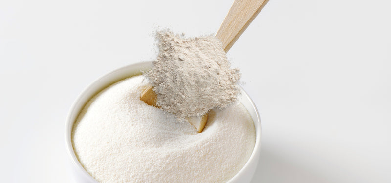 milk protein - baes club