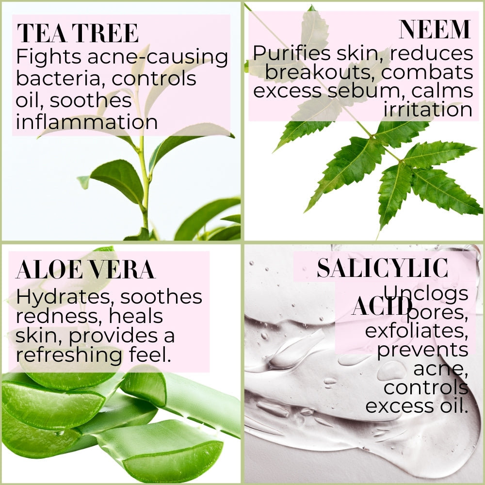 Tea Tree Neem Aloe Vera Face Wash for oily acne-prone skin